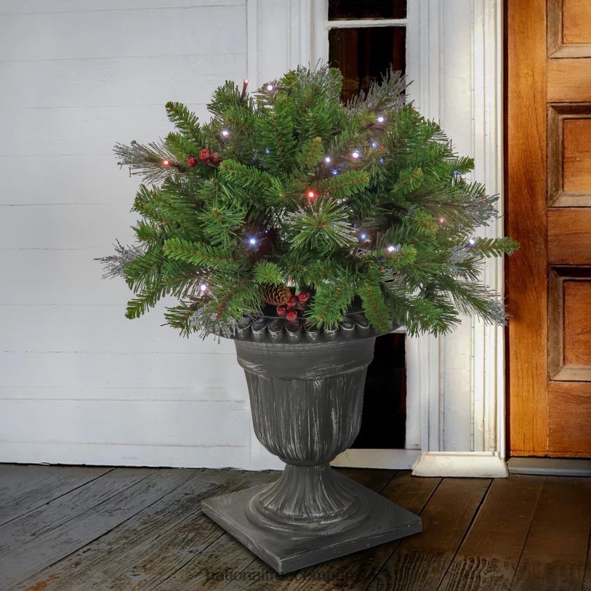 Greenery | National Tree Company 24\ Crestwood Spruce Porch Bush with Twinkly LED Lights F2L4F506